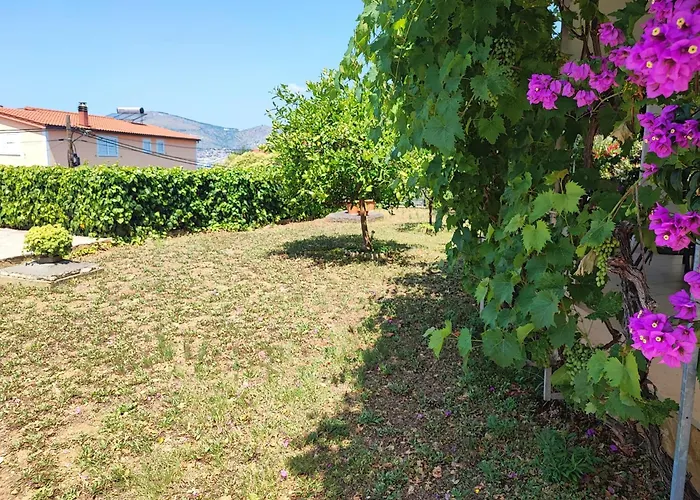 Apartmani Jureta