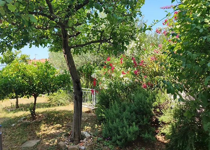 Apartmani Jureta