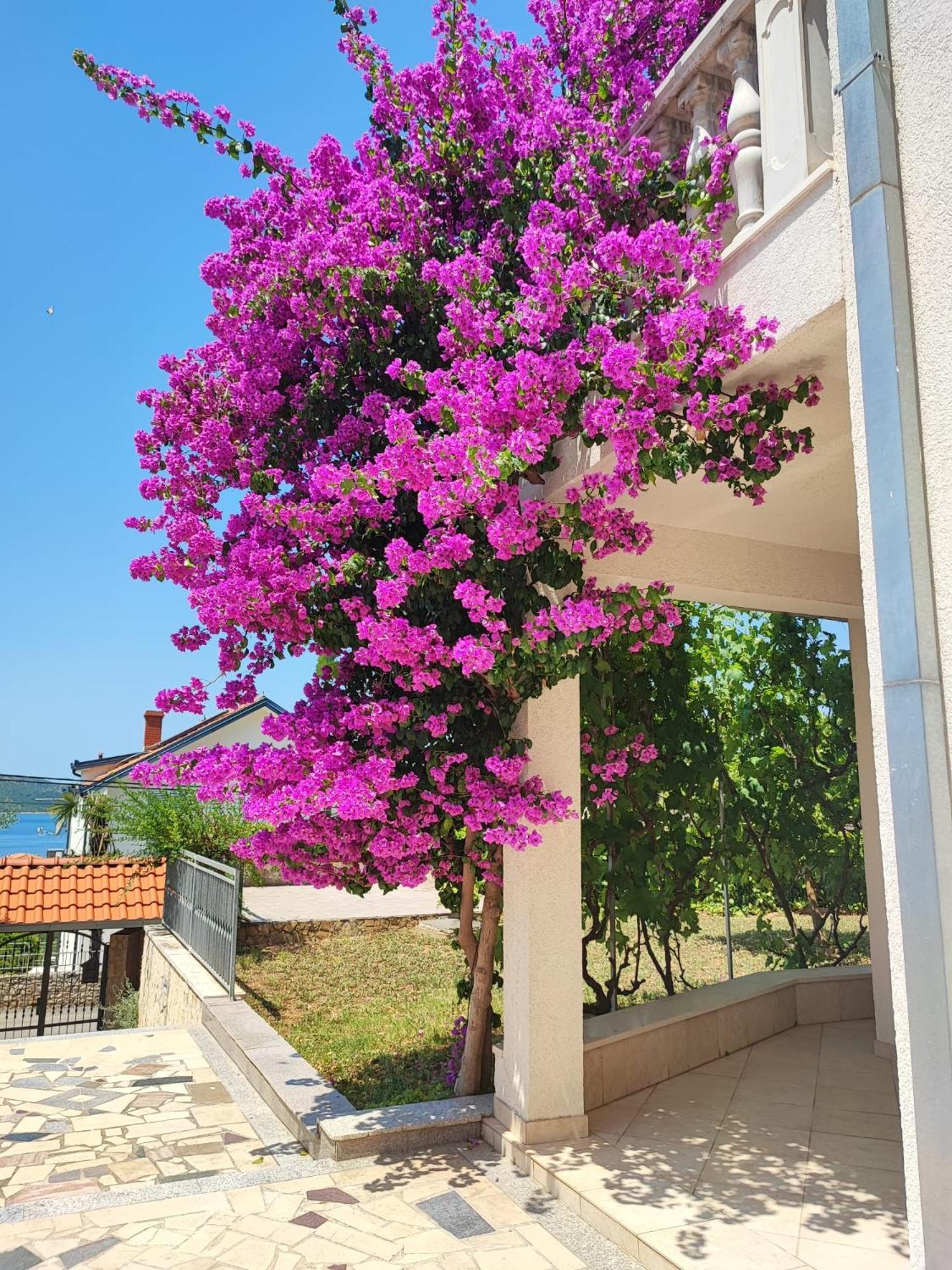 Appartement Jureta Okrug Gornji