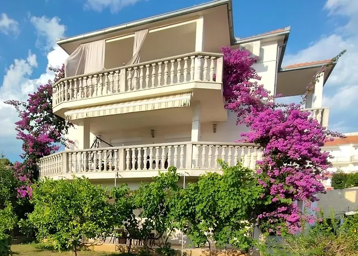 Apartmani Jureta